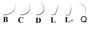 Curvaturas de extensiones: B, C, D, L, L+ y Q.