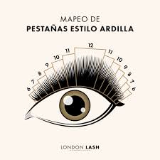 Mapeo de pestañas estilo ardilla: 6, 7, 8, 9, 10, 12, 11, 10, 9, 7, 6.